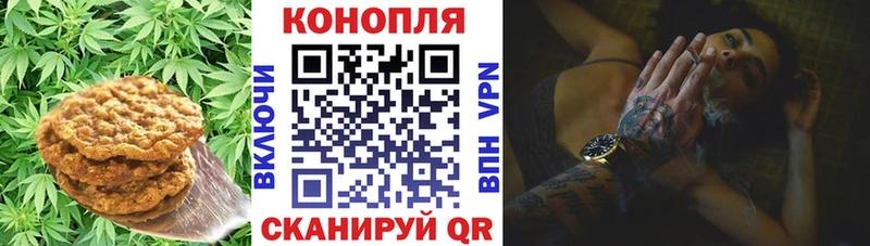даркнет сайт  Меленки  Cannafood марихуана 