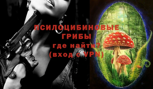 хмурый Горно-Алтайск