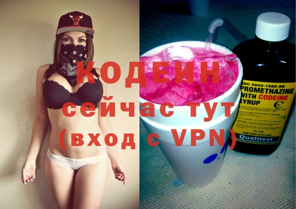 хмурый Горно-Алтайск