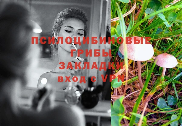 хмурый Горно-Алтайск