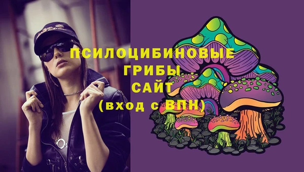 бошки Сясьстрой