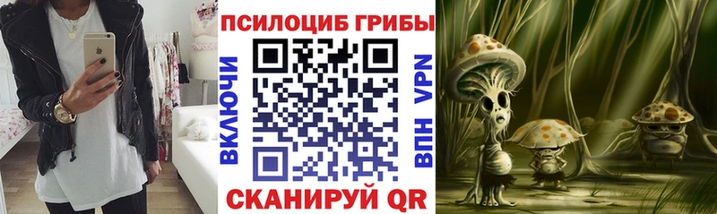 Псилоцибиновые грибы прущие грибы Меленки