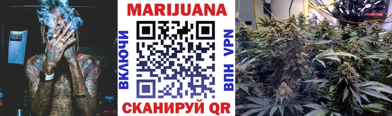 Канабис OG Kush  Меленки 